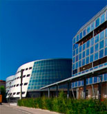 La UJA y Brasil colaboran en la formación de restauradores sobre aceites de oliva de calidad