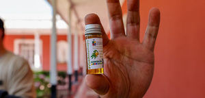 La Universidad de Chile promueve el conocimiento del aceite de oliva entre los ciudadanos