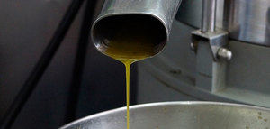 Desciende el ritmo de salidas de aceite de oliva en diciembre