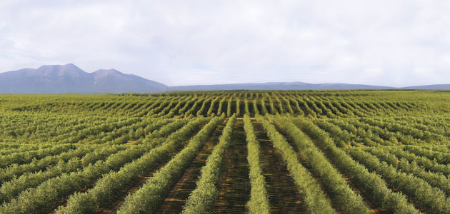 Urzante comienza la nueva campaña 2025/26