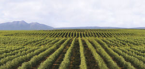 Urzante comienza la nueva campaña 2025/26