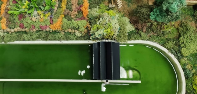 Patentan una tecnología con microalgas para luchar contra la sequía