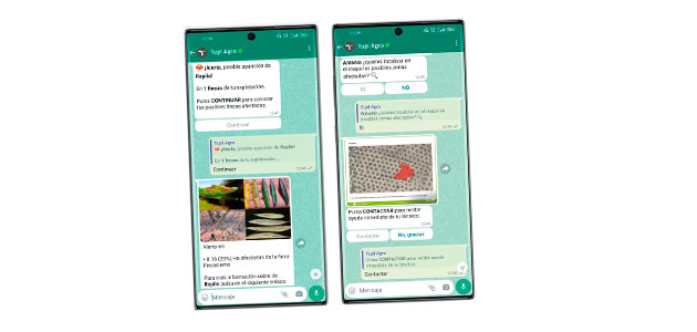 Un software de inteligencia artificial envía al olivarero información y alertas sobre su explotación a través de WhatsApp