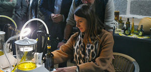 La Xunta destaca las oportunidades de desarrollo del sector olivícola gallego