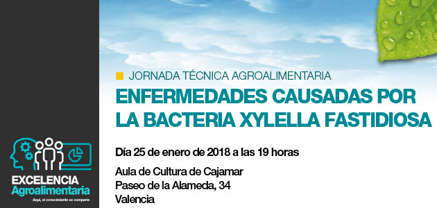 Cajamar presenta una nueva publicación dedicada a la Xylella fastidiosa