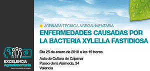 Cajamar presenta una nueva publicación dedicada a la Xylella fastidiosa