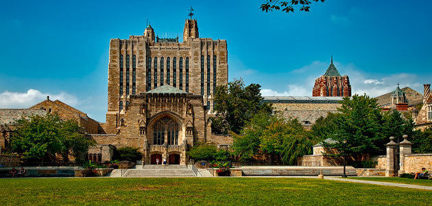 La Universidad de Yale creará el Instituto de Ciencias del Olivo y Salud