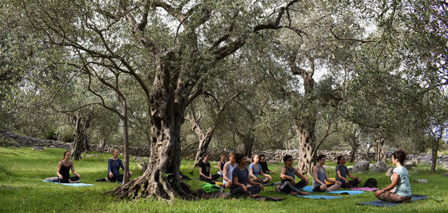 Yoga, meditación y Dieta Mediterránea, un trinomio saludable