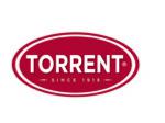 Grupo Torrent